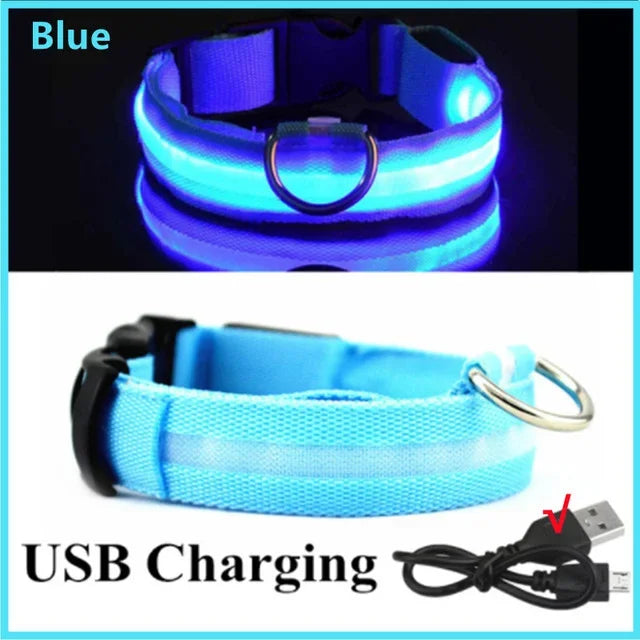 LED Glowing Dog Collar Adjustable Flashing Rechargeable Luminous Night Collar for Small Dogs Anti-Lost Pet Product