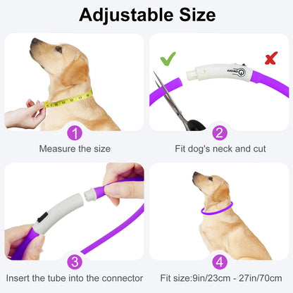 Joytale LED Pet Collar, USB Rechargeable Glowing Lighted Up, Adjustable Safety for Dogs & Cats, Silicone Material, 3 Light Modes, Ideal for Halloween & Christmas Gifts