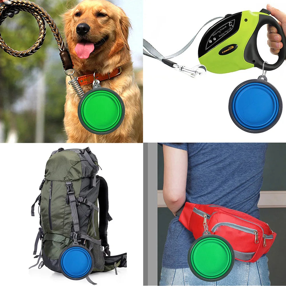 Collapsible Silicone Pet Bowl for Food & Water with Carabiner – Portable & Folding