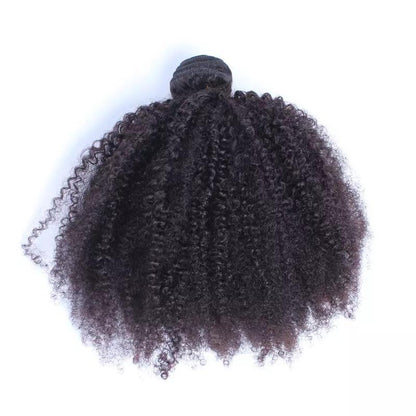 Afro Kinky Curly Brazilian Human Hair