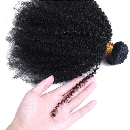 Afro Kinky Curly Brazilian Human Hair