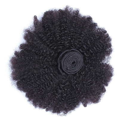 Afro Kinky Curly Brazilian Human Hair