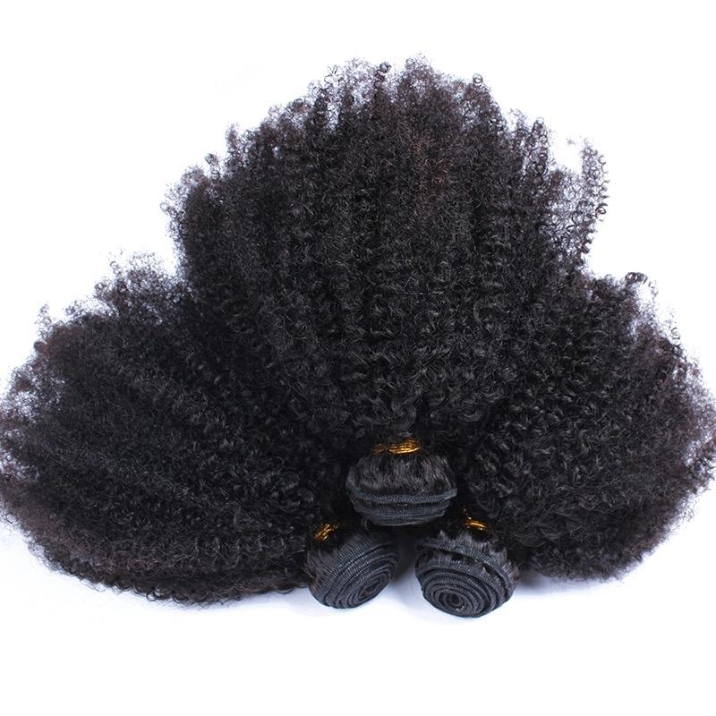 Afro Kinky Curly Brazilian Human Hair