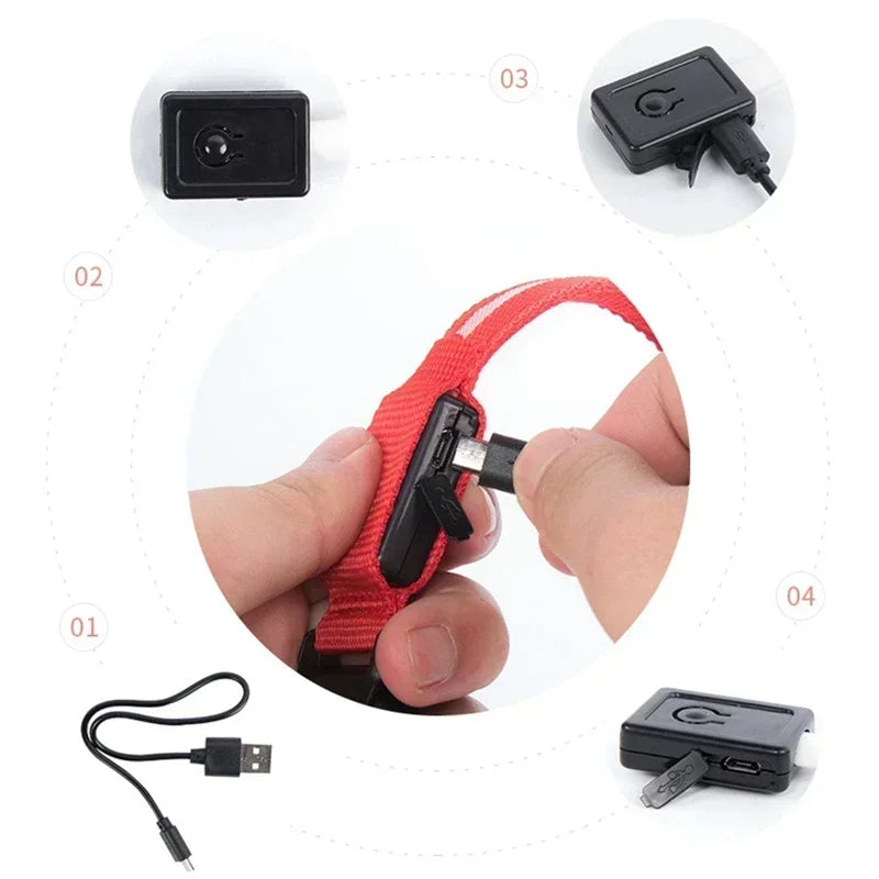LED Glowing Dog Collar Adjustable Flashing Rechargeable Luminous Night Collar for Small Dogs Anti-Lost Pet Product