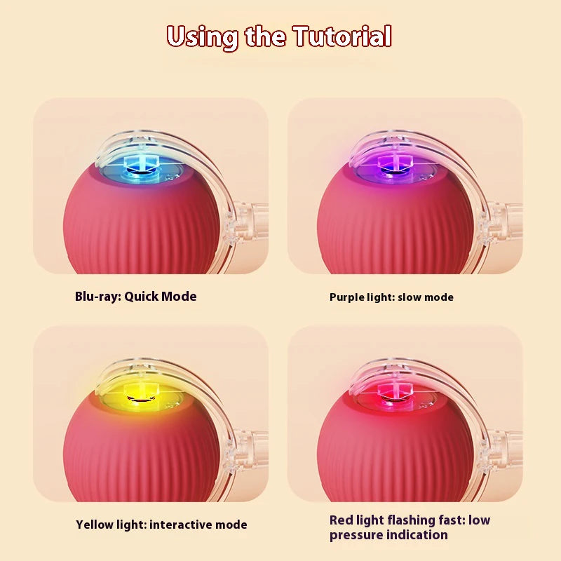 Electric Cat Ball Toy Automatic Rolling Ball with Teaser Bird Smart Interactive Rechargeable Pet Toy