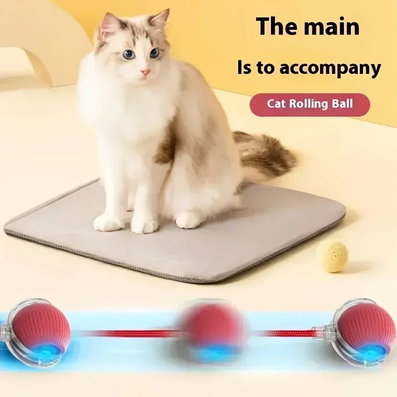 Rechargeable Cat Toy Automatic Rolling Ball with Simulated Tail Electric Pet Interactive Toy for Cats & Dogs