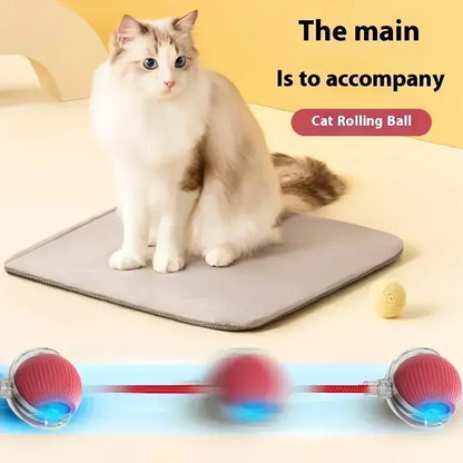 Rechargeable Cat Toy Automatic Rolling Ball with Simulated Tail Electric Pet Interactive Toy for Cats & Dogs