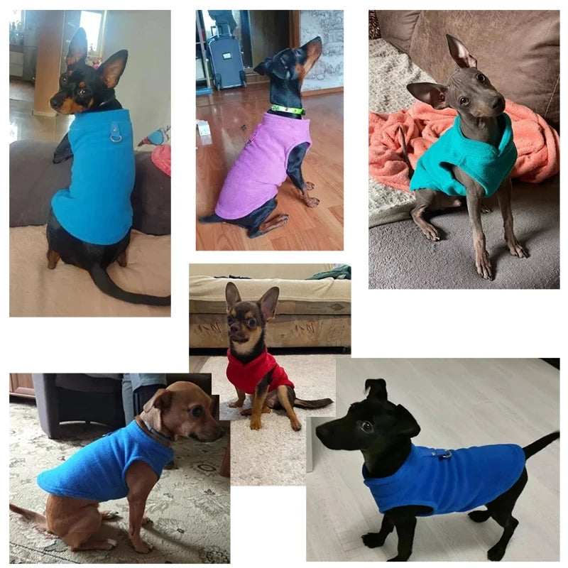 Warm Fleece Dog Jacket with D-Ring – Vest for Small Dogs & Cats, French Bulldog & Chihuahua Coat
