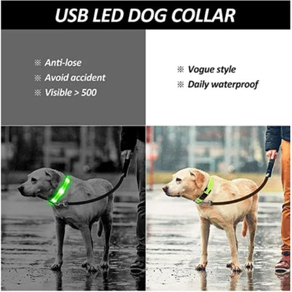 LED Glowing Dog Collar Adjustable Flashing Rechargeable Luminous Night Collar for Small Dogs Anti-Lost Pet Product