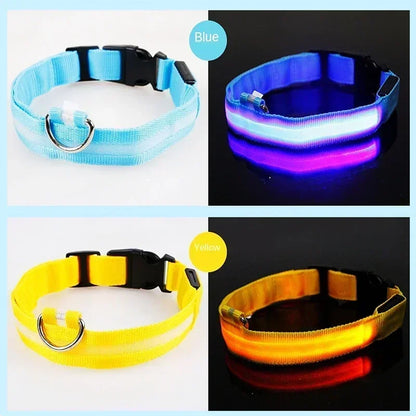 LED Glowing Dog Collar Adjustable Flashing Rechargeable Luminous Night Collar for Small Dogs Anti-Lost Pet Product