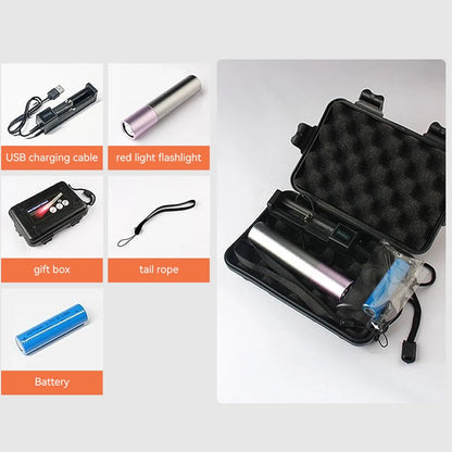Portable Red Light Therapy LED Lamp for Pain Relief and Skin Care
