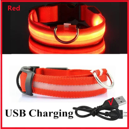 LED Glowing Dog Collar Adjustable Flashing Rechargeable Luminous Night Collar for Small Dogs Anti-Lost Pet Product