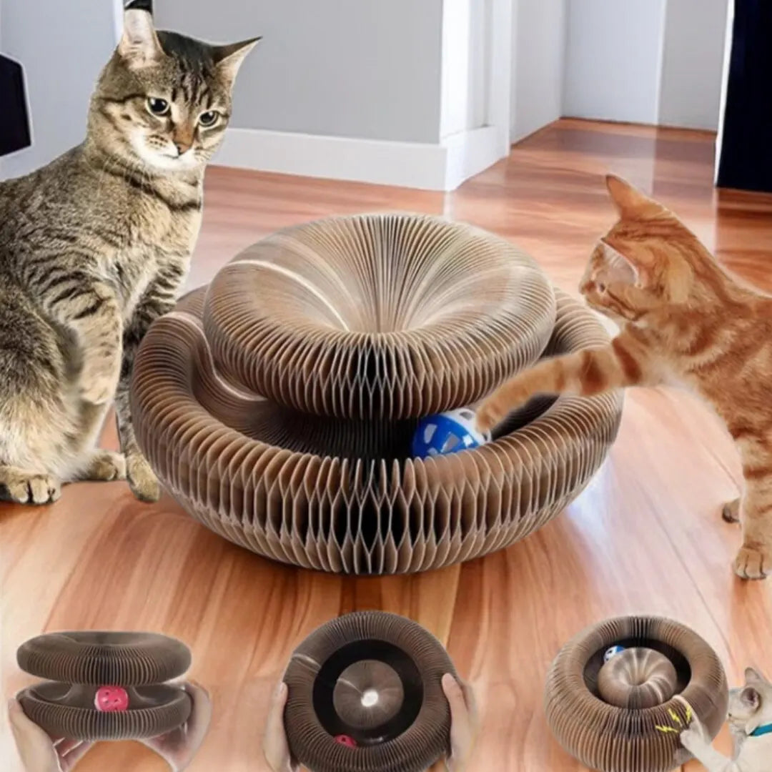 Magic Cat Scratch Board with Ball & Corrugated Climbing Toy for Cats