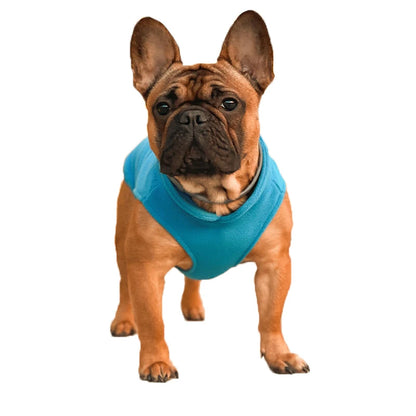 Warm Fleece Dog Jacket with D-Ring – Vest for Small Dogs & Cats, French Bulldog & Chihuahua Coat