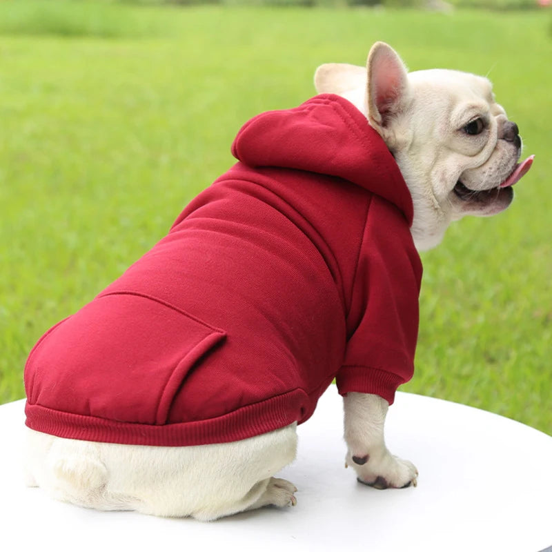 Fashion Dog Hoodie – Warm Autumn & Winter Small Pet Clothes, Thickened Two-Legged Sweater