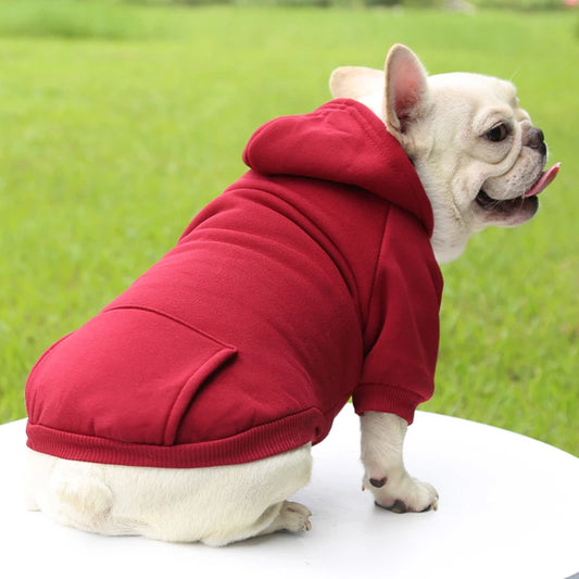 Fashion Dog Hoodie – Warm Autumn & Winter Small Pet Clothes, Thickened Two-Legged Sweater