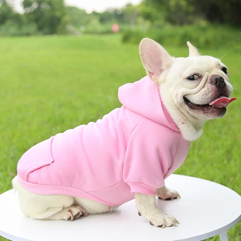 Fashion Dog Hoodie – Warm Autumn & Winter Small Pet Clothes, Thickened Two-Legged Sweater