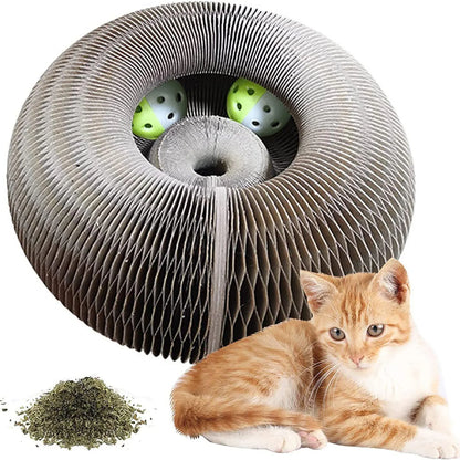 Magic Cat Scratch Board with Ball & Corrugated Climbing Toy for Cats