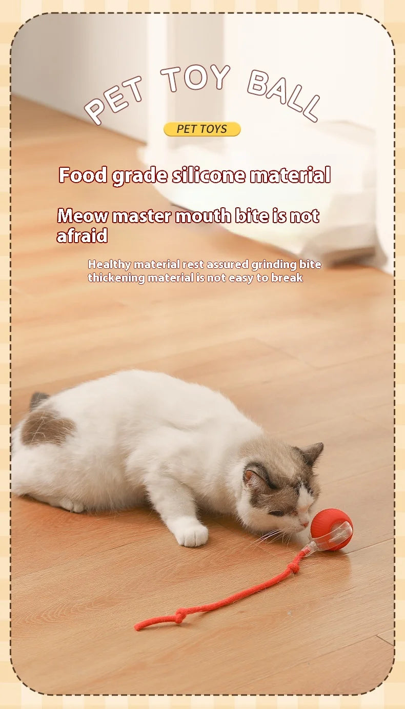 Electric Cat Ball Toy Automatic Rolling Ball with Teaser Bird Smart Interactive Rechargeable Pet Toy