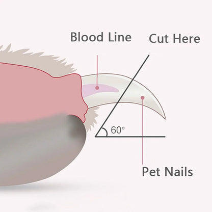 Professional Pet Nail Clippers with LED Light for Dogs, Cats & Small Animals