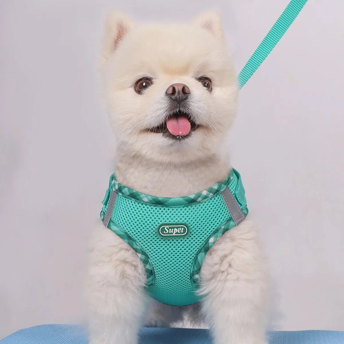 Supet Adjustable Anti-Pull Dog Harness for Easy Control - Small & Medium Dogs