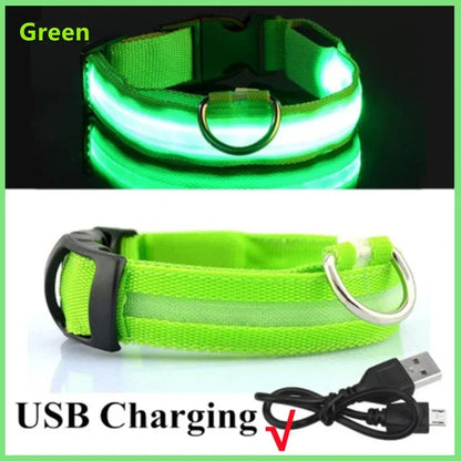 LED Glowing Dog Collar Adjustable Flashing Rechargeable Luminous Night Collar for Small Dogs Anti-Lost Pet Product