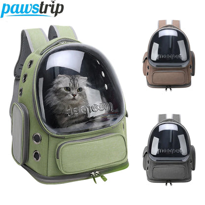 Transparent Pet Cat Carrier Backpack – Breathable Travel Bag for Cats & Small Dogs