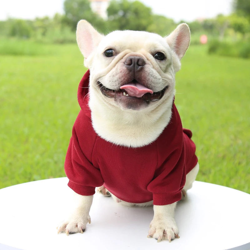 Fashion Dog Hoodie – Warm Autumn & Winter Small Pet Clothes, Thickened Two-Legged Sweater
