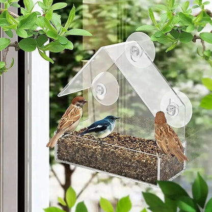 Window Bird Feeder with Reusable Tray & Waterproof Squirrel Food Container