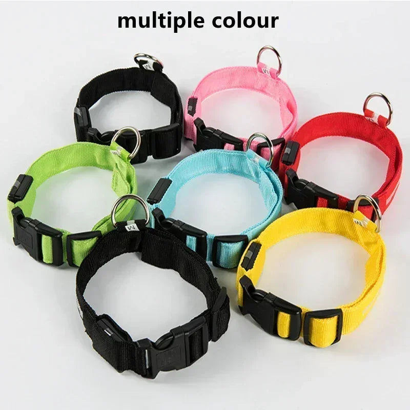 LED Glowing Dog Collar Adjustable Flashing Rechargeable Luminous Night Collar for Small Dogs Anti-Lost Pet Product