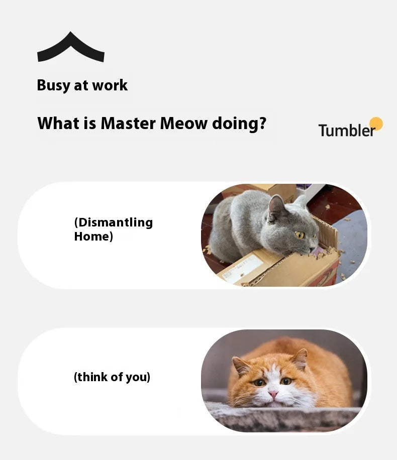 Electric Cat Ball Toy Automatic Rolling Ball with Teaser Bird Smart Interactive Rechargeable Pet Toy