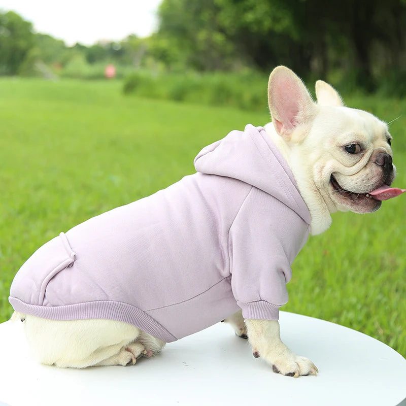 Fashion Dog Hoodie – Warm Autumn & Winter Small Pet Clothes, Thickened Two-Legged Sweater