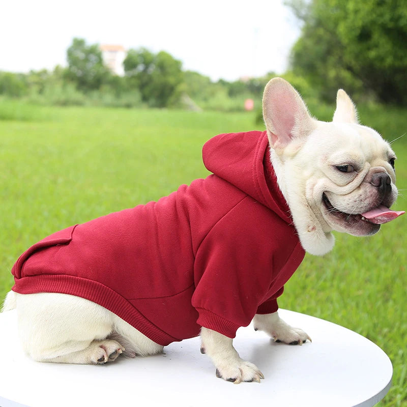 Fashion Dog Hoodie – Warm Autumn & Winter Small Pet Clothes, Thickened Two-Legged Sweater