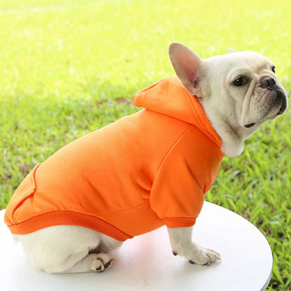 Fashion Dog Hoodie – Warm Autumn & Winter Small Pet Clothes, Thickened Two-Legged Sweater