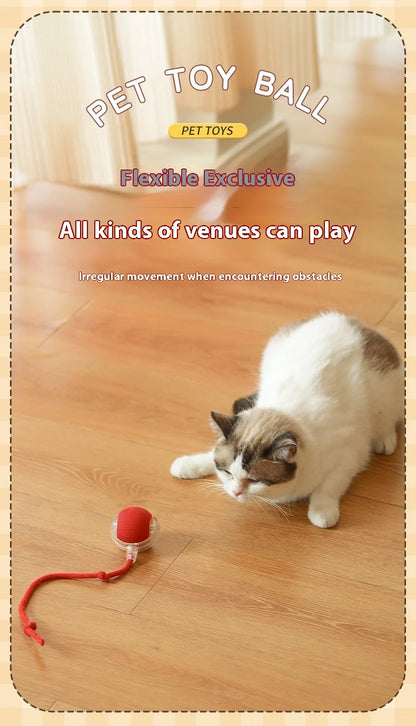 Electric Cat Ball Toy Automatic Rolling Ball with Teaser Bird Smart Interactive Rechargeable Pet Toy