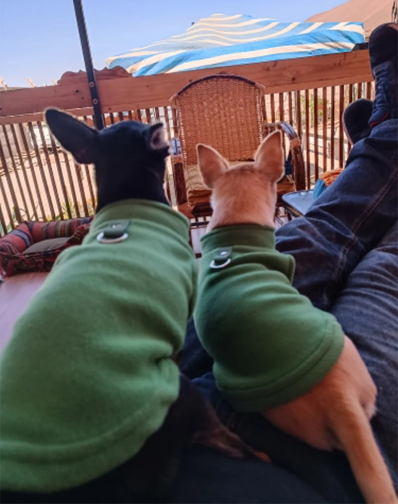 Warm Fleece Dog Jacket with D-Ring – Vest for Small Dogs & Cats, French Bulldog & Chihuahua Coat