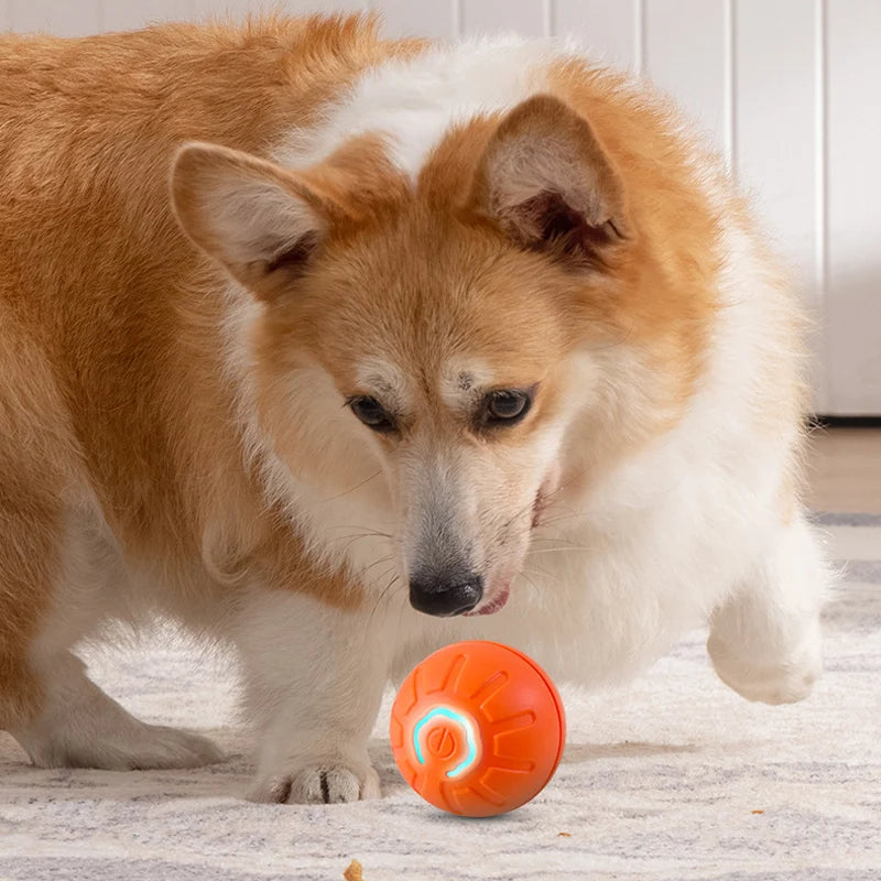 Automatic Bouncing Dog Ball Interactive Vibrating Toy for Dogs & Puppies Birthday Essentials