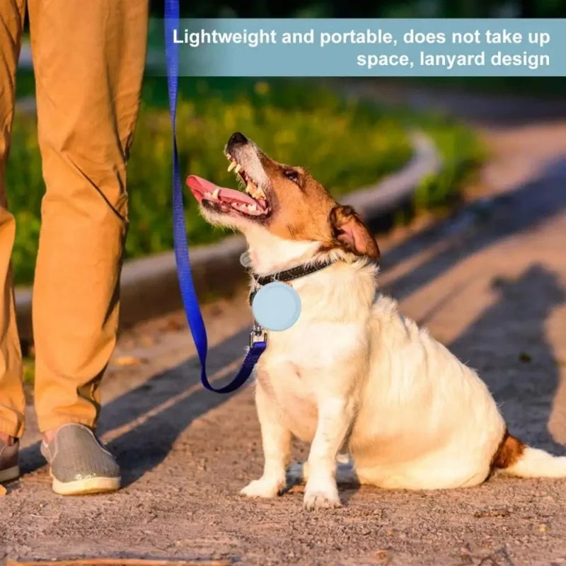 Portable Silicone Dog Treat Training Pouch with Lanyard & Hook for Outdoor Use