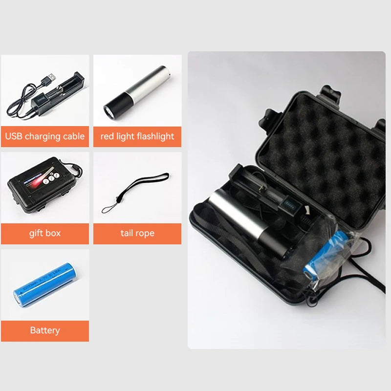 Portable Red Light Therapy LED Lamp for Pain Relief and Skin Care