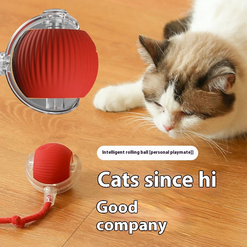Electric Cat Ball Toy Automatic Rolling Ball with Teaser Bird Smart Interactive Rechargeable Pet Toy