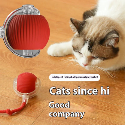 Electric Cat Ball Toy Automatic Rolling Ball with Teaser Bird Smart Interactive Rechargeable Pet Toy