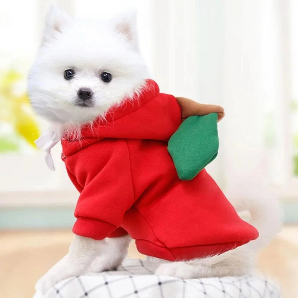 Cute Dog Hoodie & Pet Fruit Coat – Halloween Cosplay Costume with Hat for Dogs & Cats