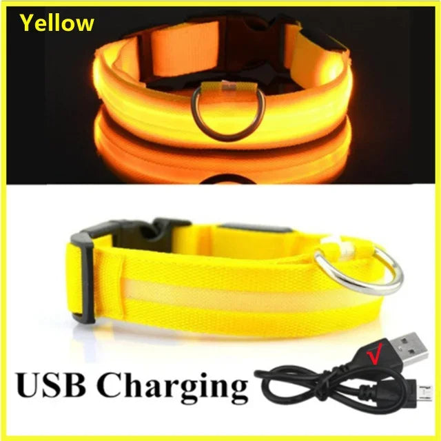 LED Glowing Dog Collar Adjustable Flashing Rechargeable Luminous Night Collar for Small Dogs Anti-Lost Pet Product