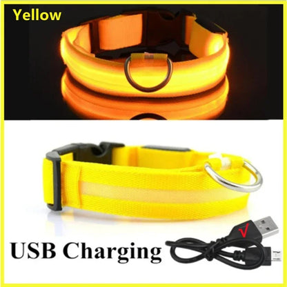LED Glowing Dog Collar Adjustable Flashing Rechargeable Luminous Night Collar for Small Dogs Anti-Lost Pet Product