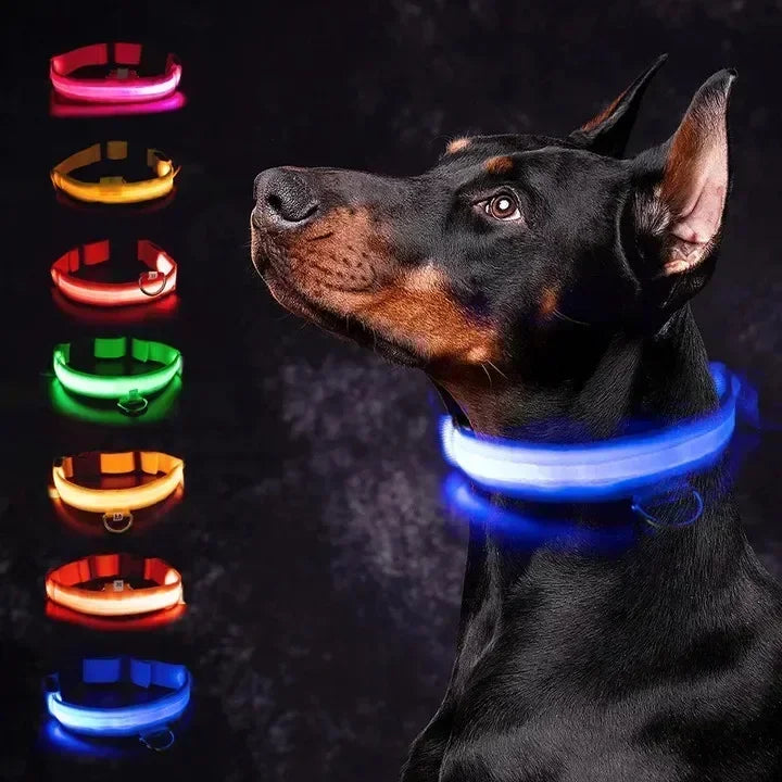LED Glowing Dog Collar Adjustable Flashing Rechargeable Luminous Night Collar for Small Dogs Anti-Lost Pet Product
