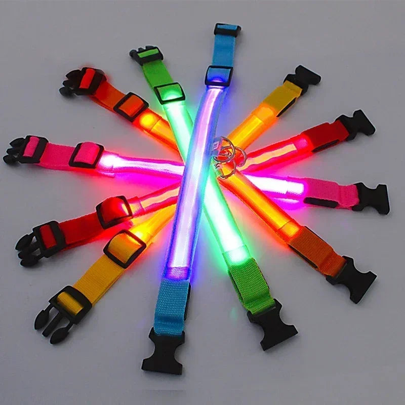 LED Glowing Dog Collar Adjustable Flashing Rechargeable Luminous Night Collar for Small Dogs Anti-Lost Pet Product