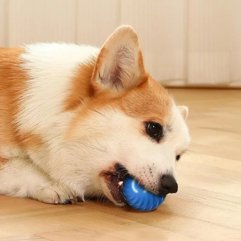 Automatic Moving Dog Toy Ball USB Rechargeable Jumping & Rotating Interactive Chew Toy for Puppies