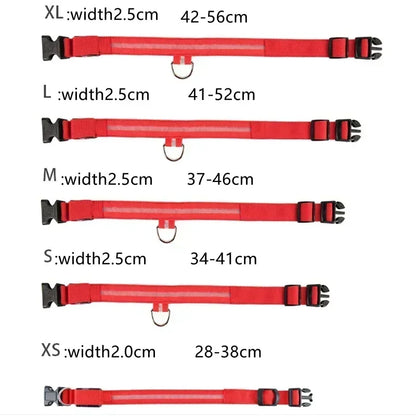 LED Glowing Dog Collar Adjustable Flashing Rechargeable Luminous Night Collar for Small Dogs Anti-Lost Pet Product
