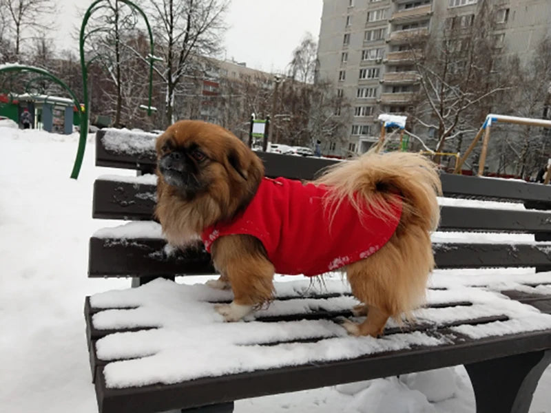 Warm Fleece Dog Jacket with D-Ring – Vest for Small Dogs & Cats, French Bulldog & Chihuahua Coat