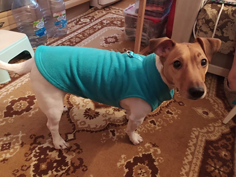 Warm Fleece Dog Jacket with D-Ring – Vest for Small Dogs & Cats, French Bulldog & Chihuahua Coat